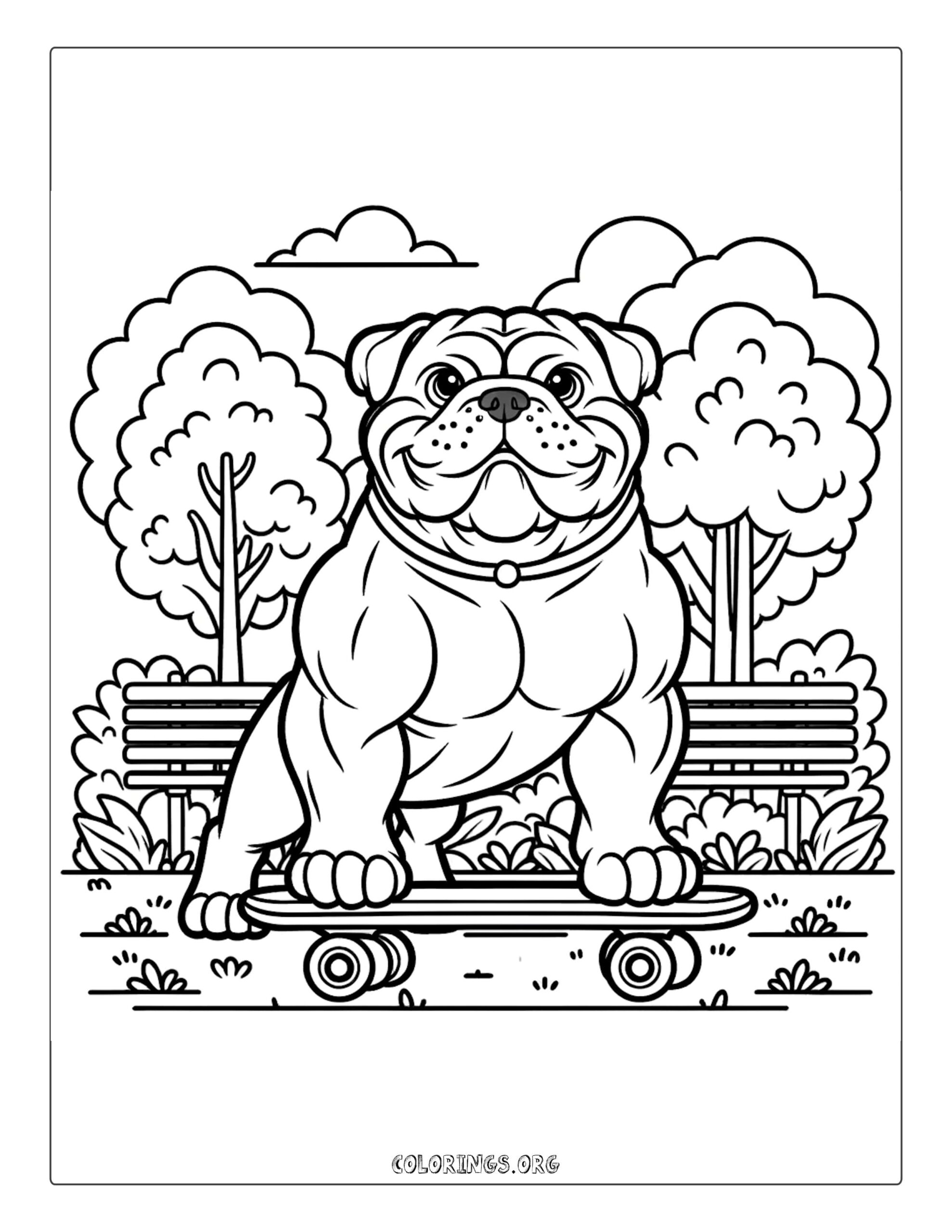 Bulldog with skateboard coloring page