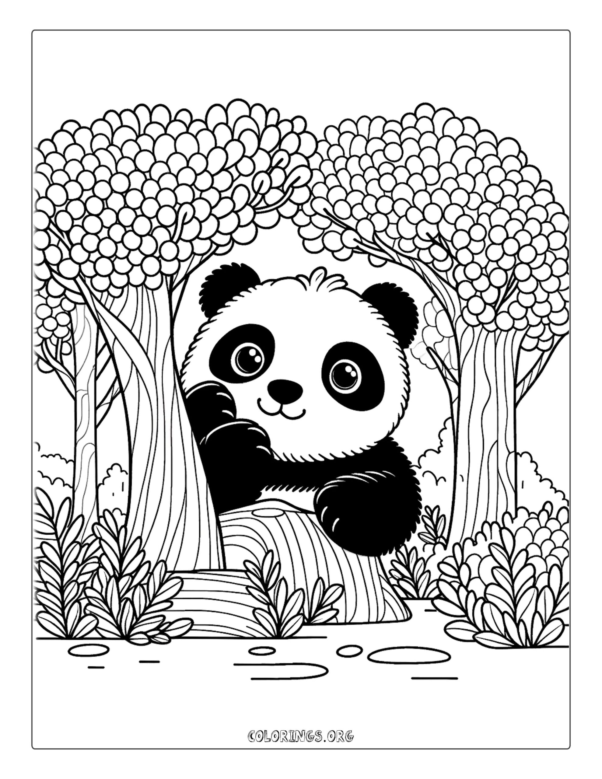 Curious Panda Behind Trees Coloring Page