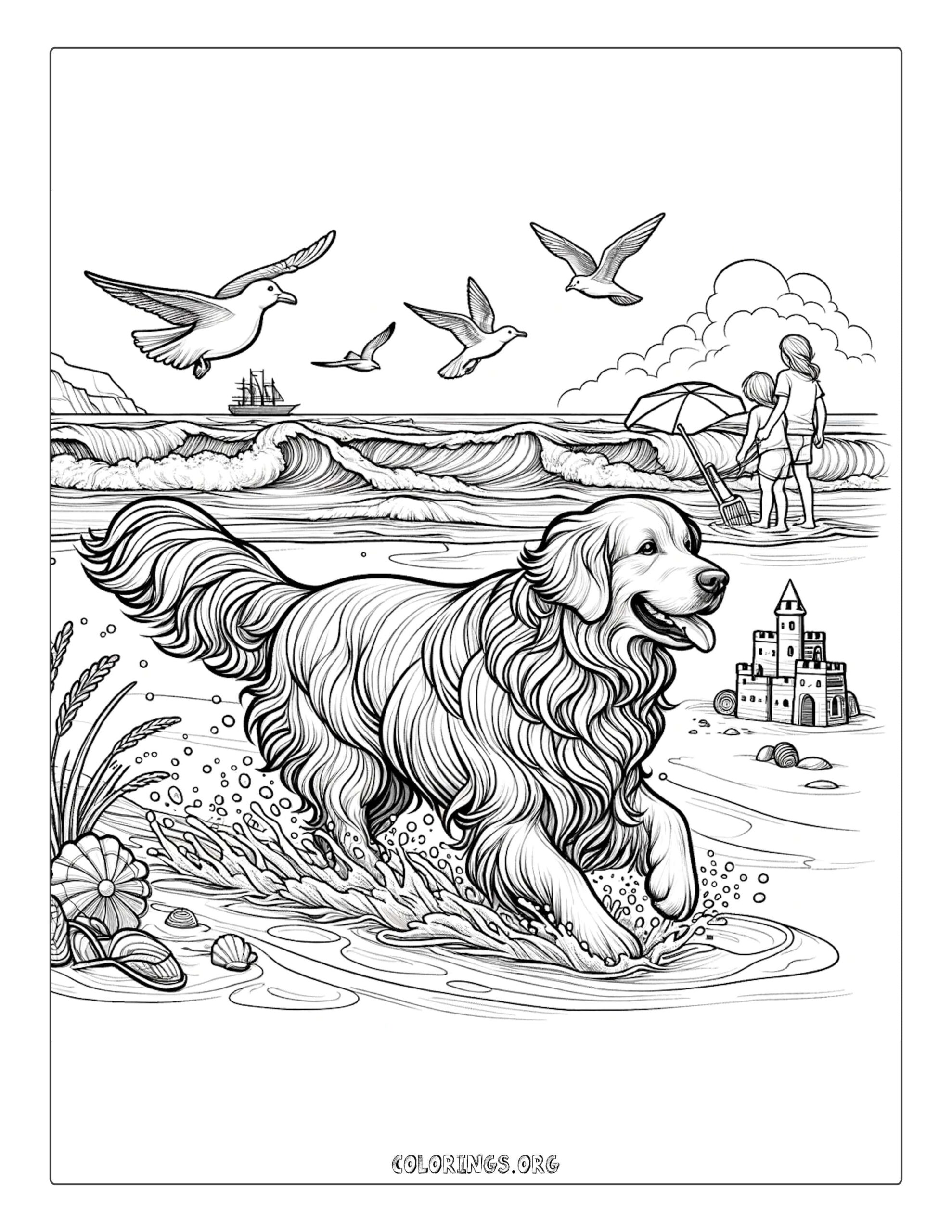 Golden retriever beach day coloring page